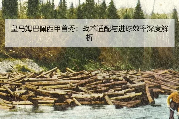 huang-ma-mu-ba-pei-xi-jia-shou-xiu-zhan-shu-shi-pei-yu-jin-qiu-xiao-lv-shen-du-jie-xi-2-557.jpg