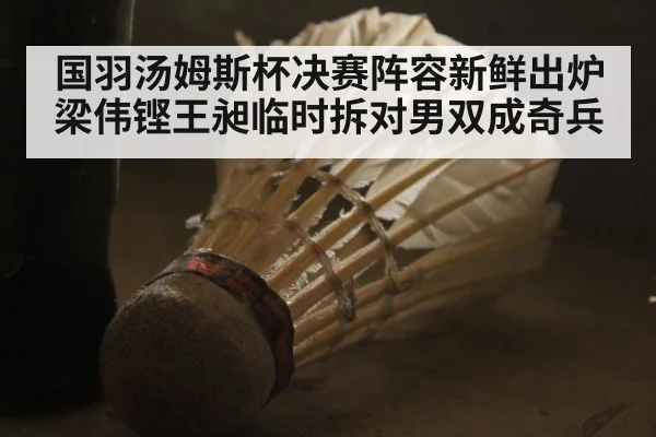 国羽汤姆斯杯决赛阵容新鲜出炉梁伟铿王昶临时拆对男双成奇兵
